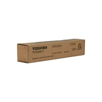 TOSHIBA T-FC55EY