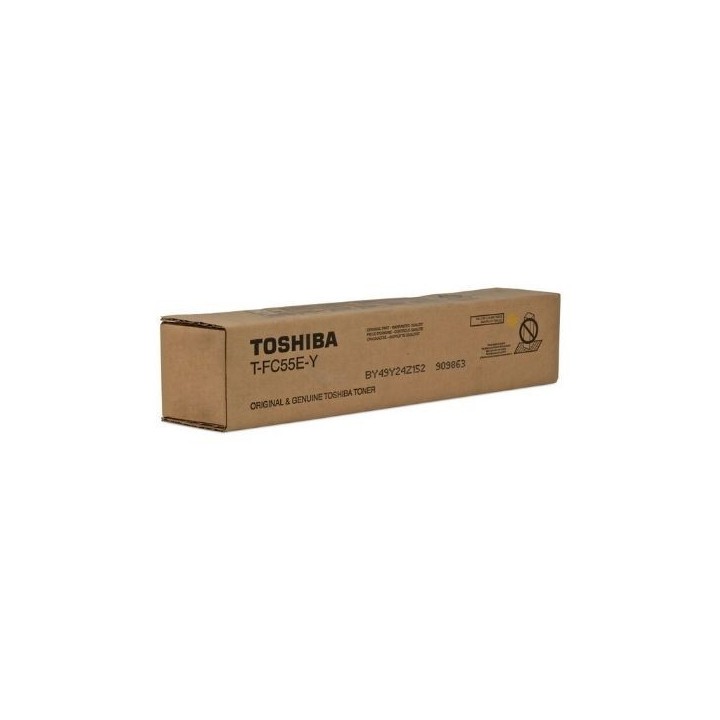 TOSHIBA T-FC55EY