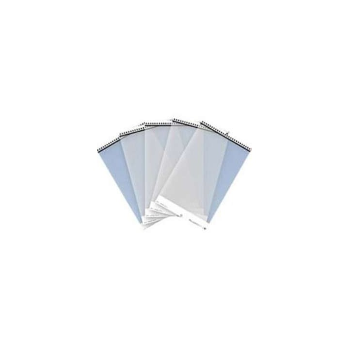 AVISION CARRY SHEET